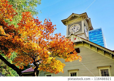 札幌鐘樓的秋景 116486921