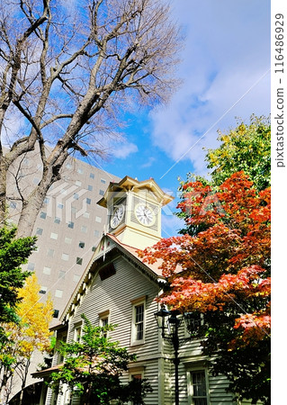 Autumn scenery of Sapporo Clock Tower Autumn scenery of Sapporo Clock Tower 116486929