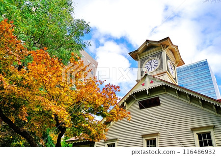 Autumn scenery of Sapporo Clock Tower 116486932