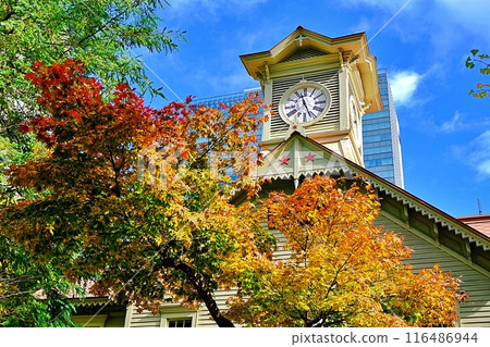 札幌鐘樓的秋景 116486944