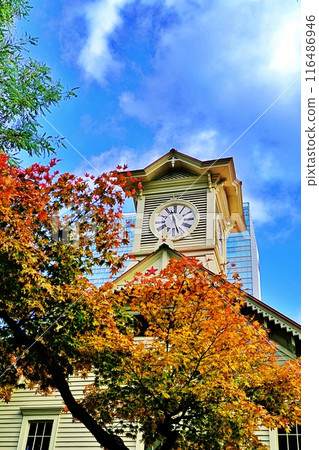 Autumn scenery of Sapporo Clock Tower Autumn scenery of Sapporo Clock Tower 116486946