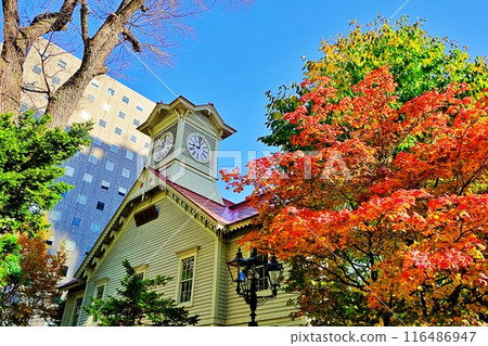 Autumn scenery of Sapporo Clock Tower Autumn scenery of Sapporo Clock Tower 116486947