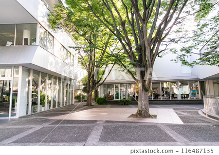 代官山的街道 116487135