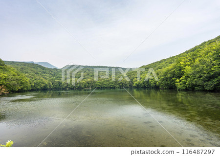 Tsutanuma Pond in summer. Early morning view from Tsutanuma Observatory. Towada City, Aomori Prefecture. Tsutanuma Pond in summer. Early morning view from Tsutanuma Observatory. Towada City, Aomori Prefecture. 116487297