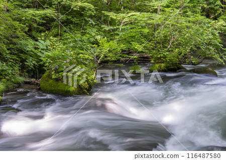 Summer Oirase Keiryu Sanran no Ie Towada City, Aomori Prefecture 116487580