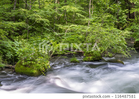 Summer Oirase Keiryu Sanran no Ie Towada City, Aomori Prefecture 116487581