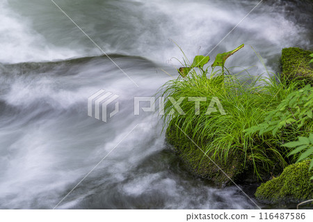Summer Oirase Keiryu Sanran no Ie Towada City, Aomori Prefecture Summer Oirase Keiryu Sanran no Ie Towada City, Aomori Prefecture 116487586