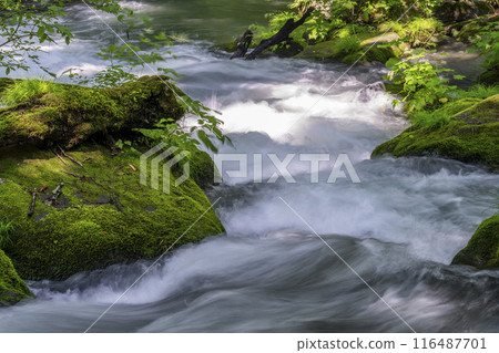Summer Oirase Gorge, Ishigedo Rapids, Towada City, Aomori Prefecture Summer Oirase Gorge, Ishigedo Rapids, Towada City, Aomori Prefecture 116487701
