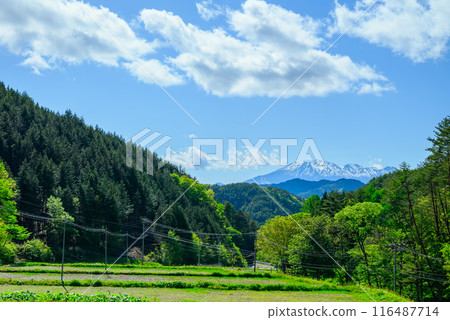 新綠與殘雪的御嶽山【拍攝於木曾郡木曾町】 新綠與殘雪的御嶽山【拍攝於木曾郡木曾町】 116487714