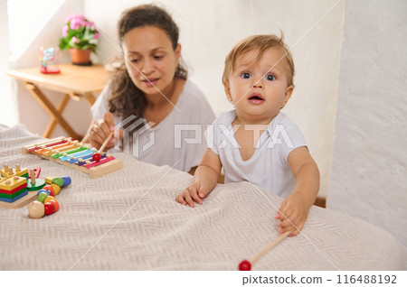 Mother and baby playing with colorful educational toys at home during daytime 116488192