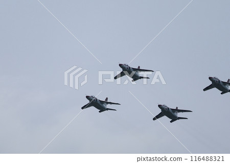 T4教練機展覽飛行編隊飛行 116488321