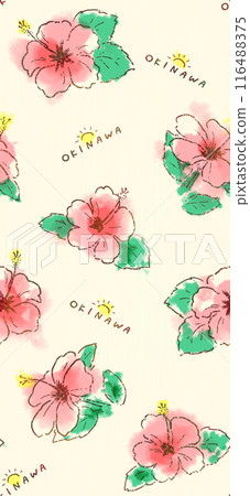 A repeating illustration pattern that expresses Okinawa's hibiscus in a pop style A repeating illustration pattern that expresses Okinawa's hibiscus in a pop style 116488375