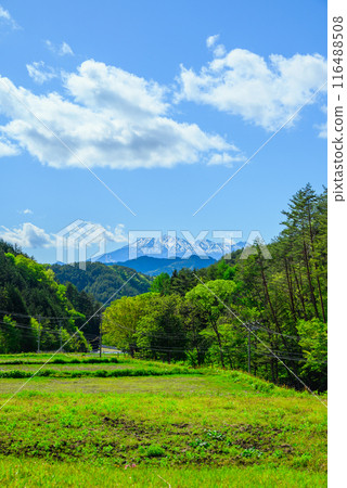 新綠與殘雪的御嶽山【拍攝於木曾郡木曾町】 116488508