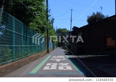 Road signs indicating school routes Road signs indicating school routes 116488550
