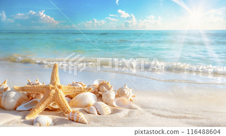 Beautiful beach scene with starfish and few shells on sand. Summer vacation at tropical beach 116488604