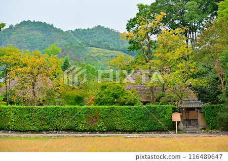 Rakushisha, a hermitage in Sagano, Kyoto 116489647
