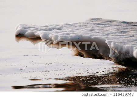 早春的風景 116489743