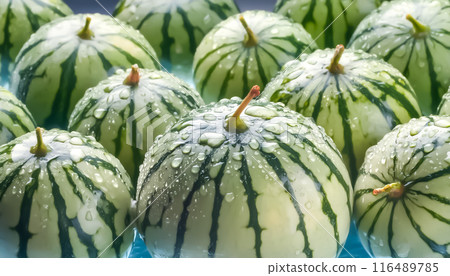 CG material: Image of watermelons being sold at a supermarket 116489785