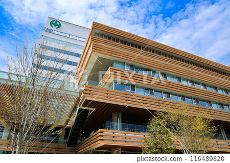 [千葉縣千葉市]千葉市政府風景 116489820