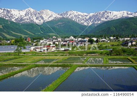 從高地飯店附近的天神坂看到的白馬村、白馬山、白馬山和卣立山連峰 116490054