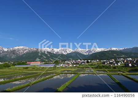 從高地飯店附近的天神坂看到的白馬村、白馬山、白馬山和卣立山連峰 116490056