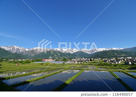 從高地飯店附近的天神坂看到的白馬村、白馬山、白馬山和卣立山連峰 116490057