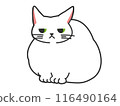 Sitting white cat 116490164