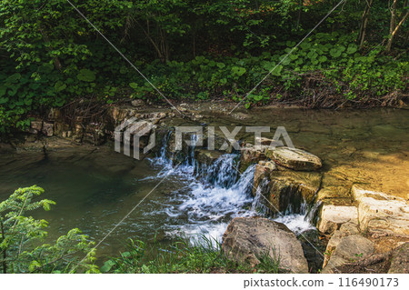 A small waterfall with rocks in the river and grass and forest in the background A small waterfall with rocks in the river and grass and forest in the background 116490173