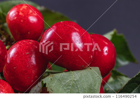 Wooden box with delicious ripe cherry macro Wooden box with delicious ripe cherry macro 116490254