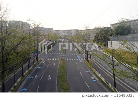 Osaka Senri Ginnan Street-1 116490325