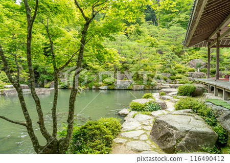 Higashiomi City, Shiga Prefecture: The strolling garden and pond at Baekje Temple with fresh greenery Higashiomi City, Shiga Prefecture: The strolling garden and pond at Baekje Temple with fresh greenery 116490412