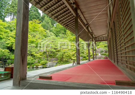 Higashiomi City, Shiga Prefecture: The main temple of Baekje Temple with its fresh greenery and the pond in the strolling garden Higashiomi City, Shiga Prefecture: The main temple of Baekje Temple with its fresh greenery and the pond in the strolling garden 116490418