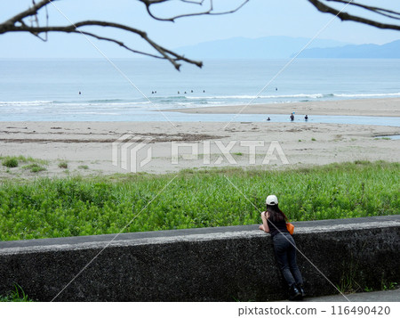 Woman looking at the sea 116490420