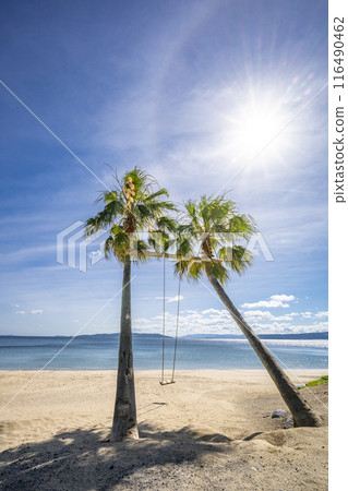 Palm Tree Swing by the Sea 116490462