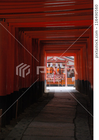 神社@Kyoto.JAPAN /鳥居的風景〜稻荷大社@古京都 神社@Kyoto.JAPAN /鳥居的風景〜稻荷大社@古京都 116490560