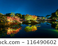 後樂園秋季幻想花園 2020 116490602