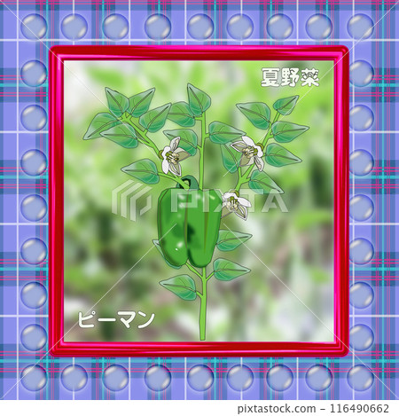 我嘗試用Illustrator畫出一個原創的夏季蔬菜青椒。 我嘗試用Illustrator畫出一個原創的夏季蔬菜青椒。 116490662