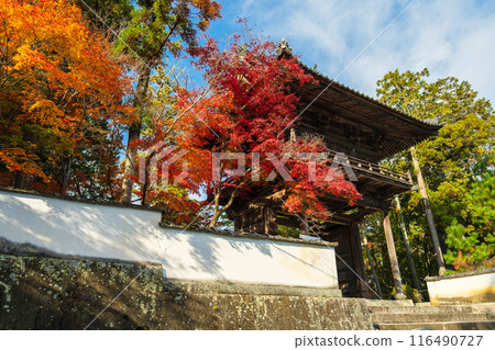 Hofukuji Temple in autumn 116490727
