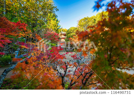 秋葉的豐福寺三層寶塔 116490731