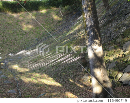 有樹影的山路 116490749