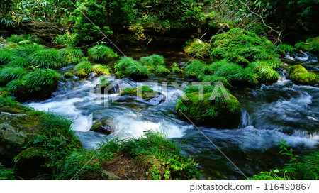 Mt. Chokai's Mototaki waterfall underground water, Akita Prefecture 116490867