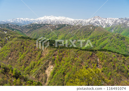Mt. Hakusan seen from Kongo Copper Mine, May 116491074