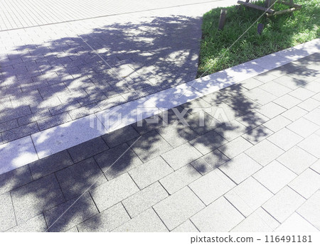 Sunlight filtering through the cobblestones 116491181