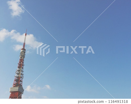 Tokyo Tower    116491318