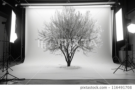 Stunning Black and White Photograph of a Tree in a Professional Studio Setting with Lighting Equipment 116491708