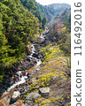 Mt. Ontake Valley May 116492016
