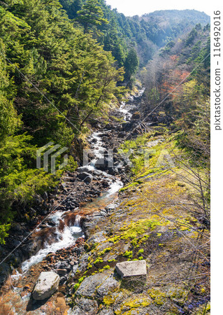 Mt. Ontake Valley May 116492016