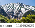 Mount Ontake in May 116492025