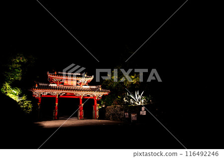 Night sky and Shureimon Gate 116492246