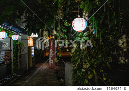 沖繩縣榮町市中心風景 116492248